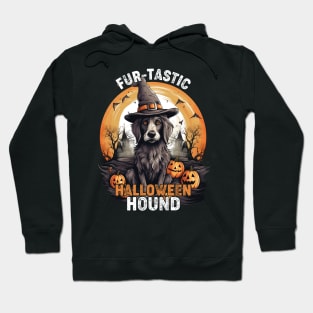 Fur-tastic Halloween Hound Dog Witch Costume Hoodie